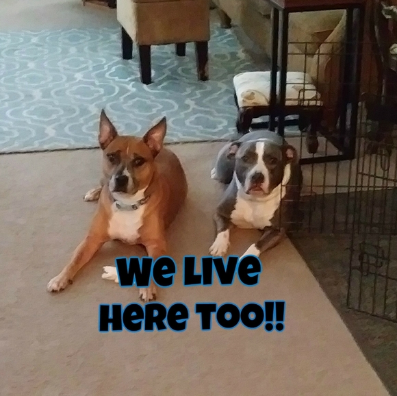 ABOUT MY CLOSET - Picture 6 of 16